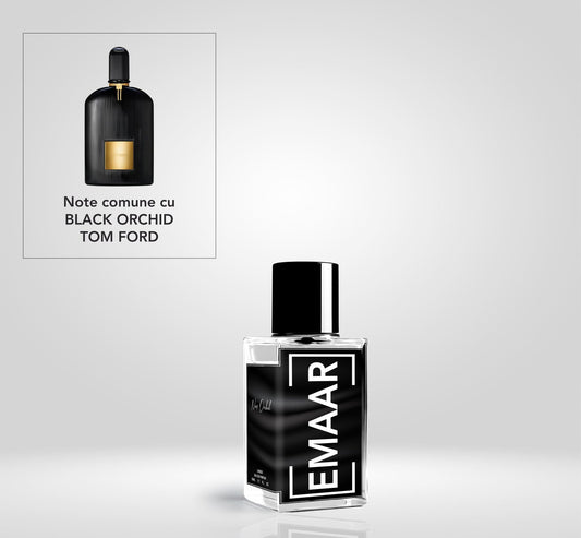 Noir Orchid